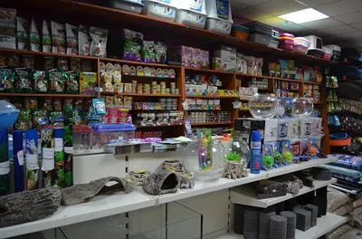 Salonik Zoologiczny Torro